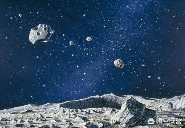 哥伦比亚盆地侏儒兔灭绝原因:灭绝师太是不是一个合格的掌门？