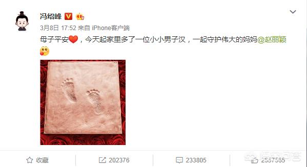 安以轩公布孕肚照:哪个女明星怀孕的大肚照最美？