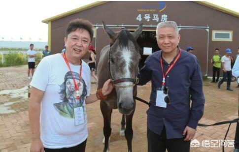于谦宠物乐园地址:为什么于谦不是德云社的管理层？