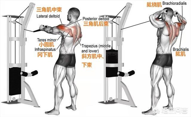 健身计划一周表：健身计划一周表 男士