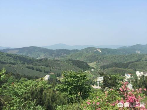 李先念子女:妈妈很节俭总是偷偷吃剩饭剩菜，该怎么办？