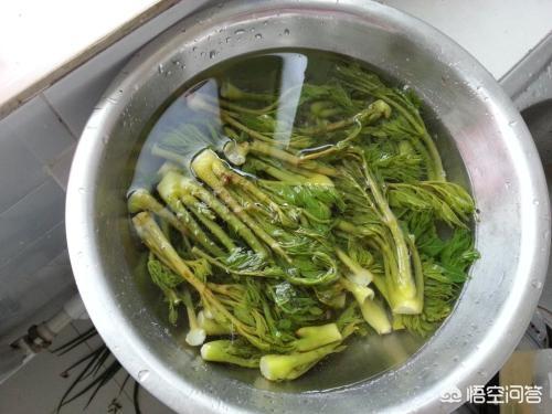 你吃过刺嫩芽吗？