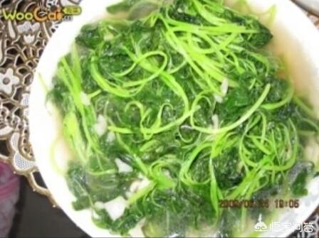 有哪些好吃的、清淡的菜？那些清淡的菜是怎样做的？
