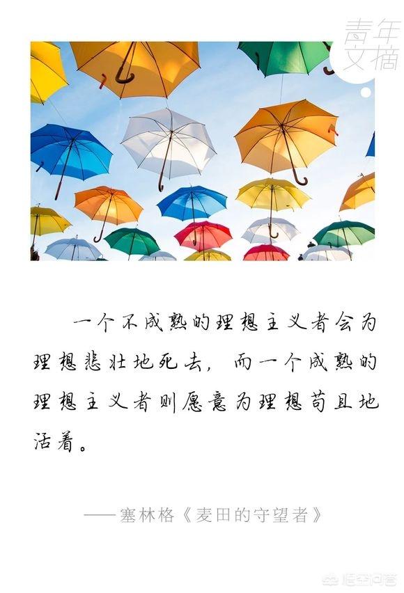 头条问答 如果正确解读 教父 这句台词 花半秒看透和花一辈子都看不清的人 注定不同的命运 可爱君ii的回答 0赞