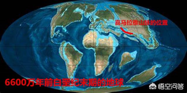2000万年前化石树:为什么没有发现进化中的人类化石（带尾巴的化石）？