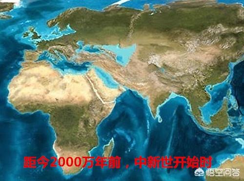2000万年前化石树:为什么没有发现进化中的人类化石（带尾巴的化石）？