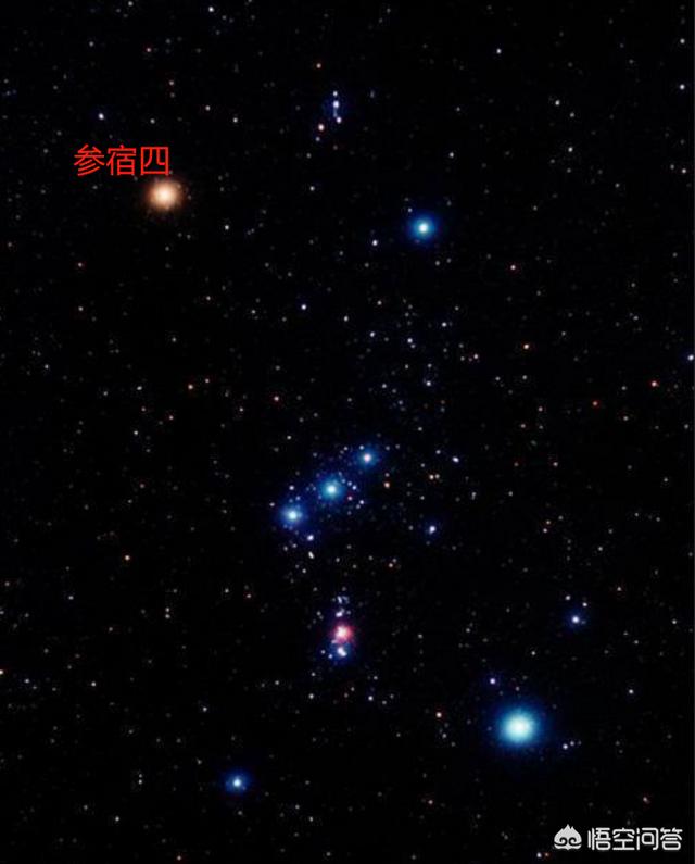豆柴小犬免费观看完整版:明太祖朱元璋有没有兴过“文字狱”文字狱，都有谁被杀？ 豆柴小犬电影国语