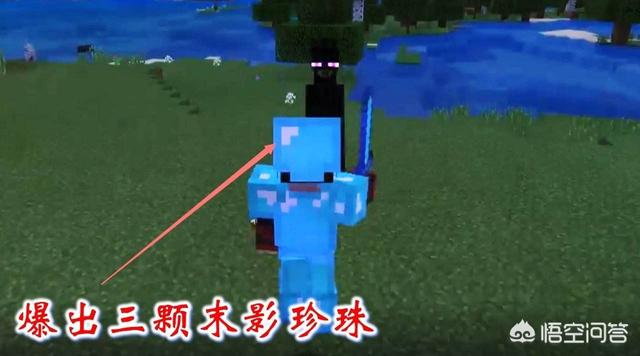 黄油小熊是谁:知道这个小熊叫什么名字吗？