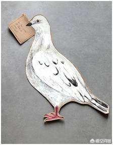 48事件，古人是怎样用鸽子传递书信的历史上有哪些著名的飞鸽传书事件