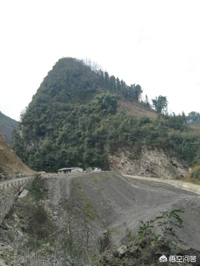 我决定简单地生活:我对生活没有渴望了怎么办？