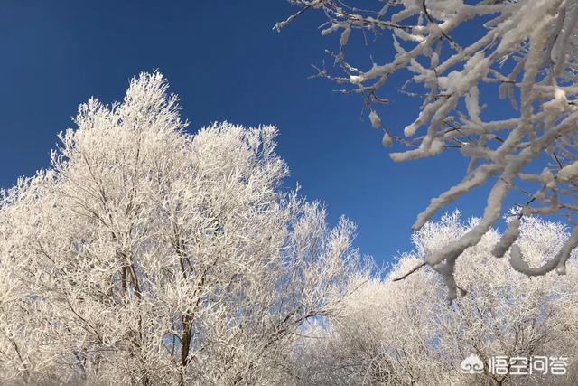 特殊时期中国富人都去哪玩，节前大家都去哪儿旅游了，整体体验如何