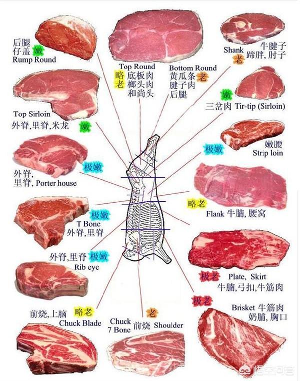 里脊肉图片部位图片