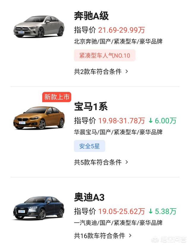 蓝眼皇冠豹越小越贵吗:年收入22万左右，选什么车比较好，有哪些好的建议吗？