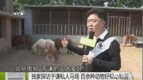 于谦的宠物乐园:相声演员于谦在哪儿养马？ 于谦的宠物乐园名字