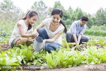 猫扑情感好帖:关于维系情感方面，你有哪些心得、体会可以分享？