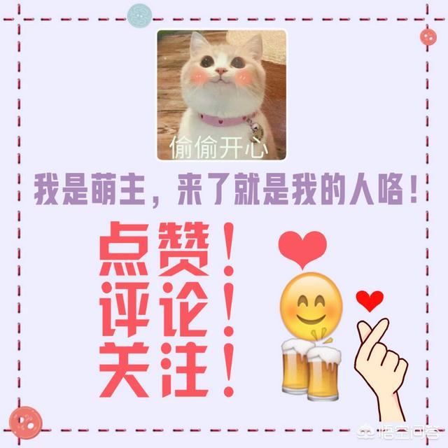 康姨妈结局:《知否》中，如果康姨妈被王老夫人保下来了，接下来会怎么样？