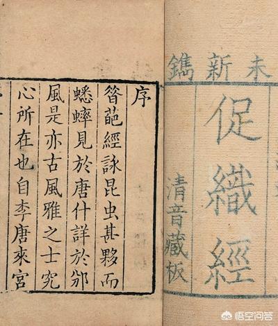 中国斗蟋蟀:捉蟋蟀能致富但是收蟋蟀的人用蟋蟀能干什么?有什么作用？