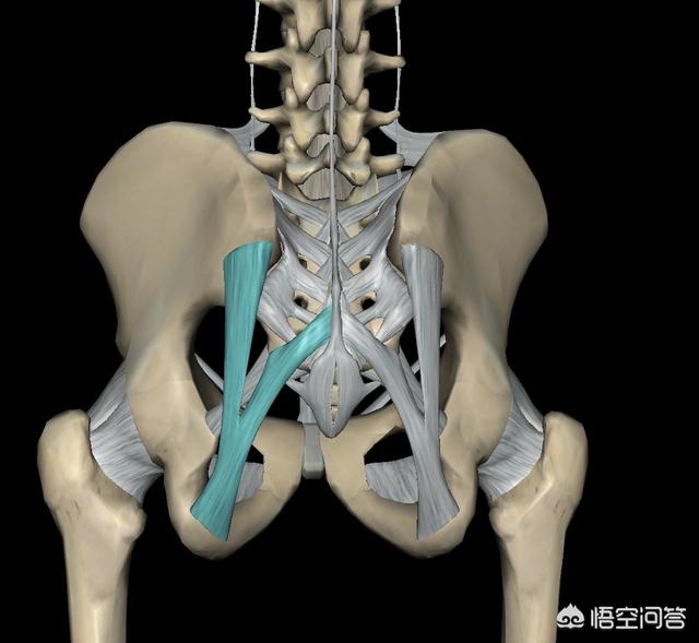 头条问答 - 导致腰骶部疼痛的原因有哪些?(10个回答)