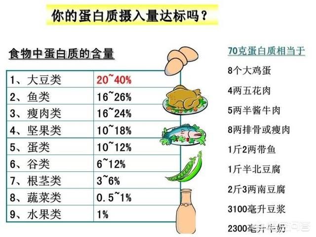 蛋白质含量高的食物:除了鸡蛋白，还有什么食物具有高蛋白质营养价值如何