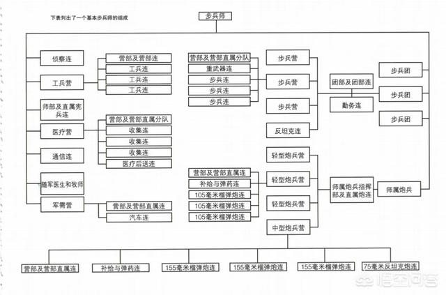 二战美军师级部队编制及火力配备是怎样的？