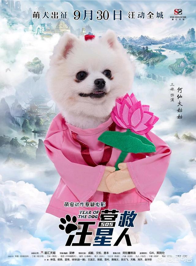 彭豆豆:《楚乔传》的强大串客阵容，熟悉老面孔你认出来了吗