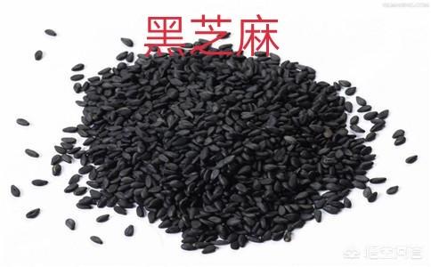 金毛狗脊:农民在野外干活受伤流血，用什么植物止血效果最好？