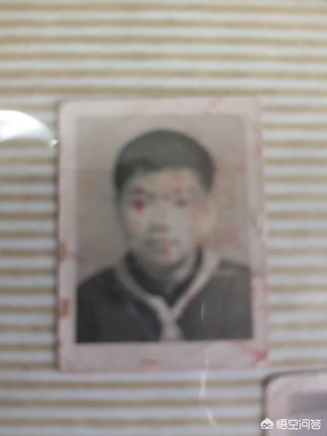 万界微信<a href=https://maguai.com/list/269-0-0.html target=_blank class=infotextkey>红包群</a> 林海:你知道哪个综艺节目换了<a href=https://maguai.com/list/27-0-0.html target=_blank class=infotextkey>主持</a>人后，效果立竿见影，收视率爆涨的？