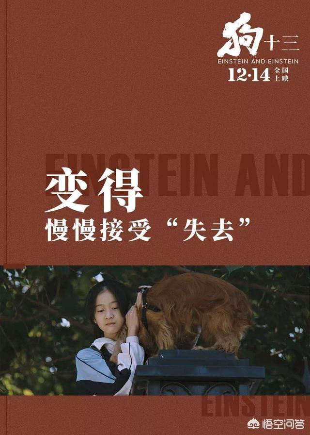 狗扑电影网怎么样:对于电影《狗十三》所反映出的教育问题你怎么看？