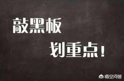 可爱的比熊犬图片:比熊犬幼仔怎么分辨纯不纯？