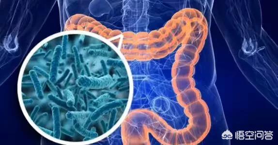 病人排泄物处理记录:如果有一天医学证明人的排泄物可以治疗癌症，你会配合治疗吗？