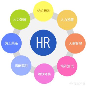 利物浦大学、纽卡斯尔大学、卡迪夫大学相比,哪个大学的人力资源专业较好？