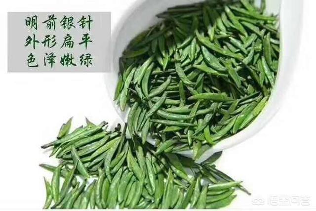 为什么茶叶要选头春绿茶？