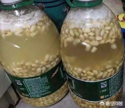 如何制作花肥(如何自制花肥的方法)