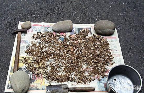 如何制作花肥(如何自制花肥的方法)