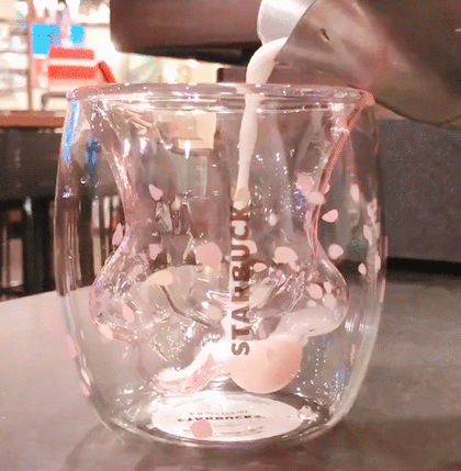 茶杯猫图片:人类为了好看培育出了哪些畸形猫？