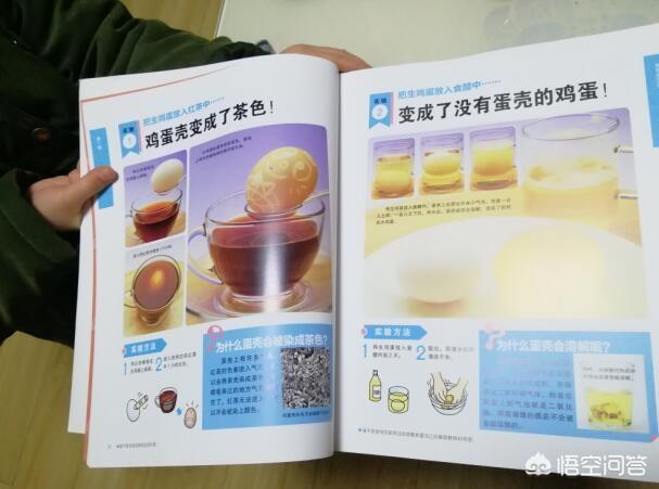 兔子图片大全:亲子阅读算是亲子活动吗？