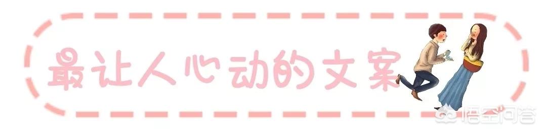 郭晓冬妻子:《妻子的浪漫旅行》为什么这么火？