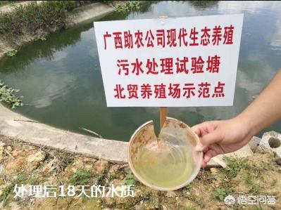 宠物兔养殖基地建设实施方案:畜禽养殖废弃物资源化利用都有哪些模式？