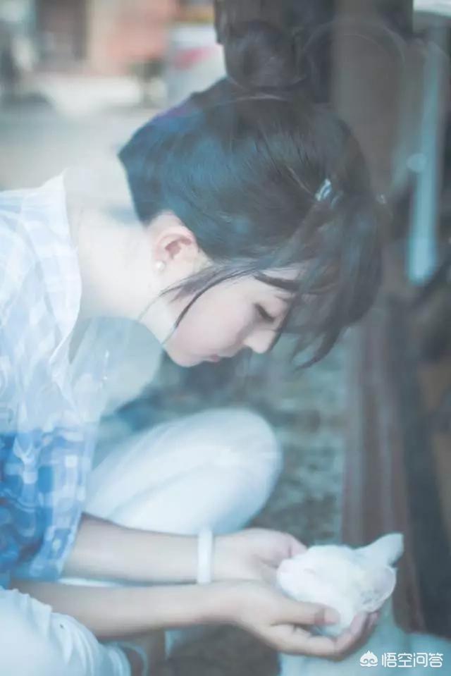 无锡 宠物摄影:怎样才能给宠物拍出美美的照片？ 无锡宠物摄影工作室