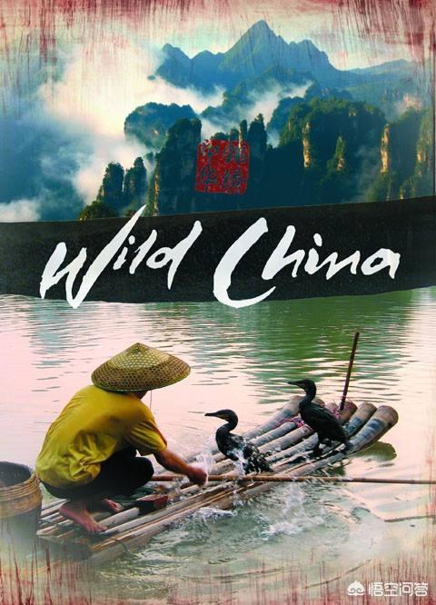 《美丽中国》纪录片，想让孩子看一些优质的纪录片开阔眼界，在哪里可以找到这样的影片