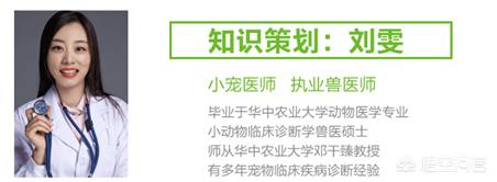 狗狗博客里的狗:为什么狗子都喜欢“坐”别狗、别猫、别人呢？