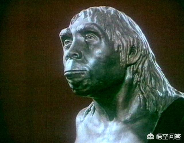 北京人头盖骨化石对人类有什么特殊意义?