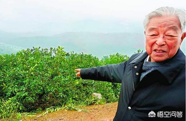 你如何理解王石说过的：“一个人的成功不是财富,而是跌落谷底的反弹力”？