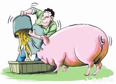 生猪养殖企业的难点，当下生猪市场该如何思考？
