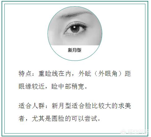 杏仁眼什么样子:泰迪犬是不是纯种的，从什么地方能看出来？