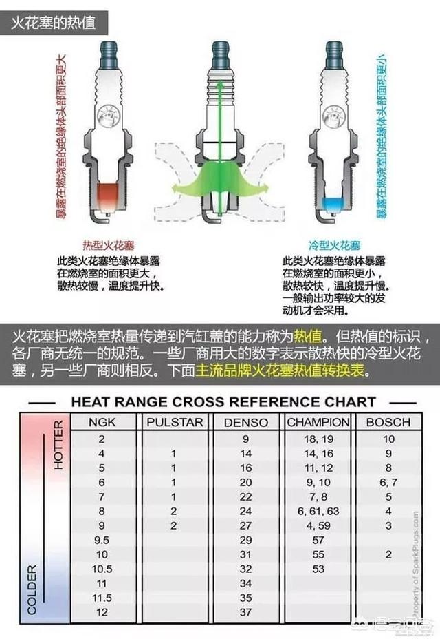 西里汉梗的养护常识:金枝玉叶怎么浇水？需要注意什么？
