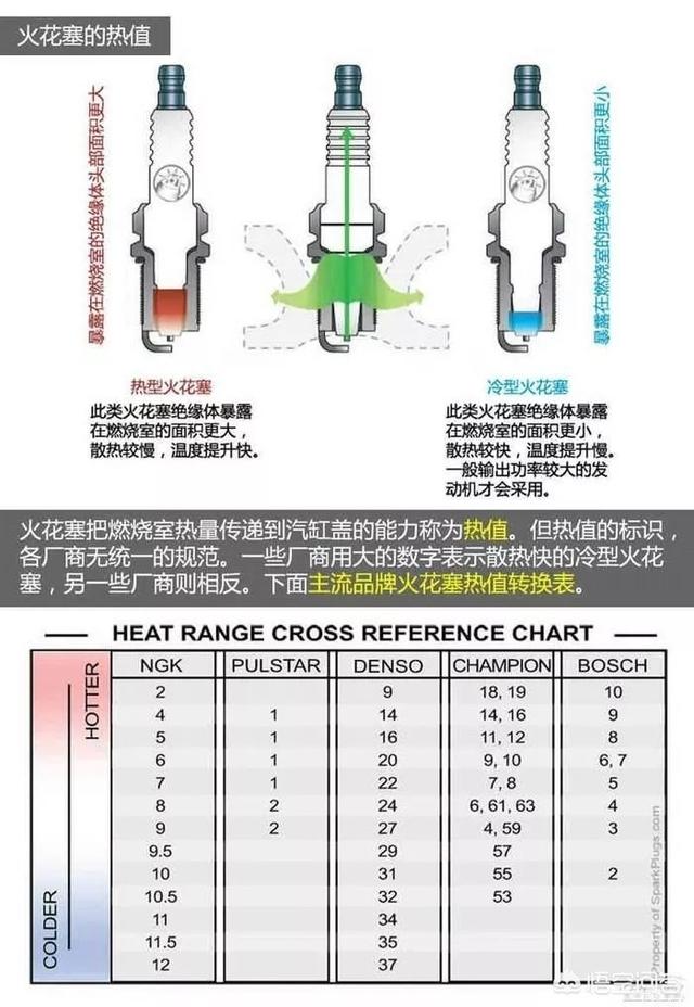 西里汉梗的养护常识:金枝玉叶怎么浇水？需要注意什么？