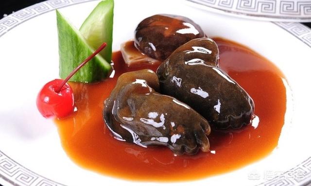 大鲵图片:如何评价美食作家王刚对于“红烧娃娃鱼”视频的道歉视频