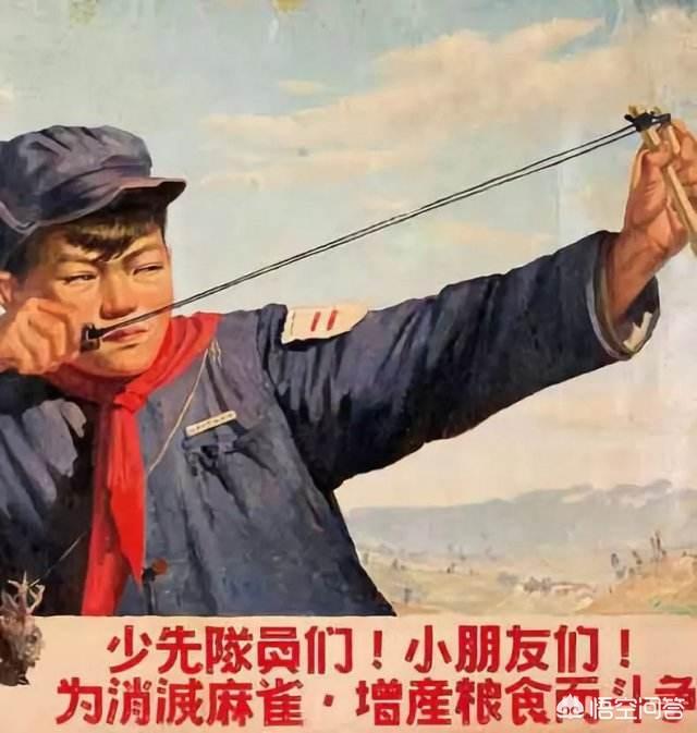 麻雀是谁:你怎么看《麻雀》里李易峰和张若昀的演技