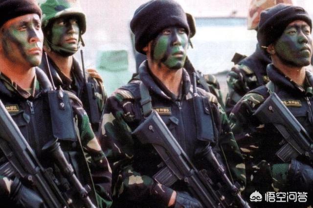 武警特种部队与陆军特种部队有什么区别？哪个的作战能力更强？插图19